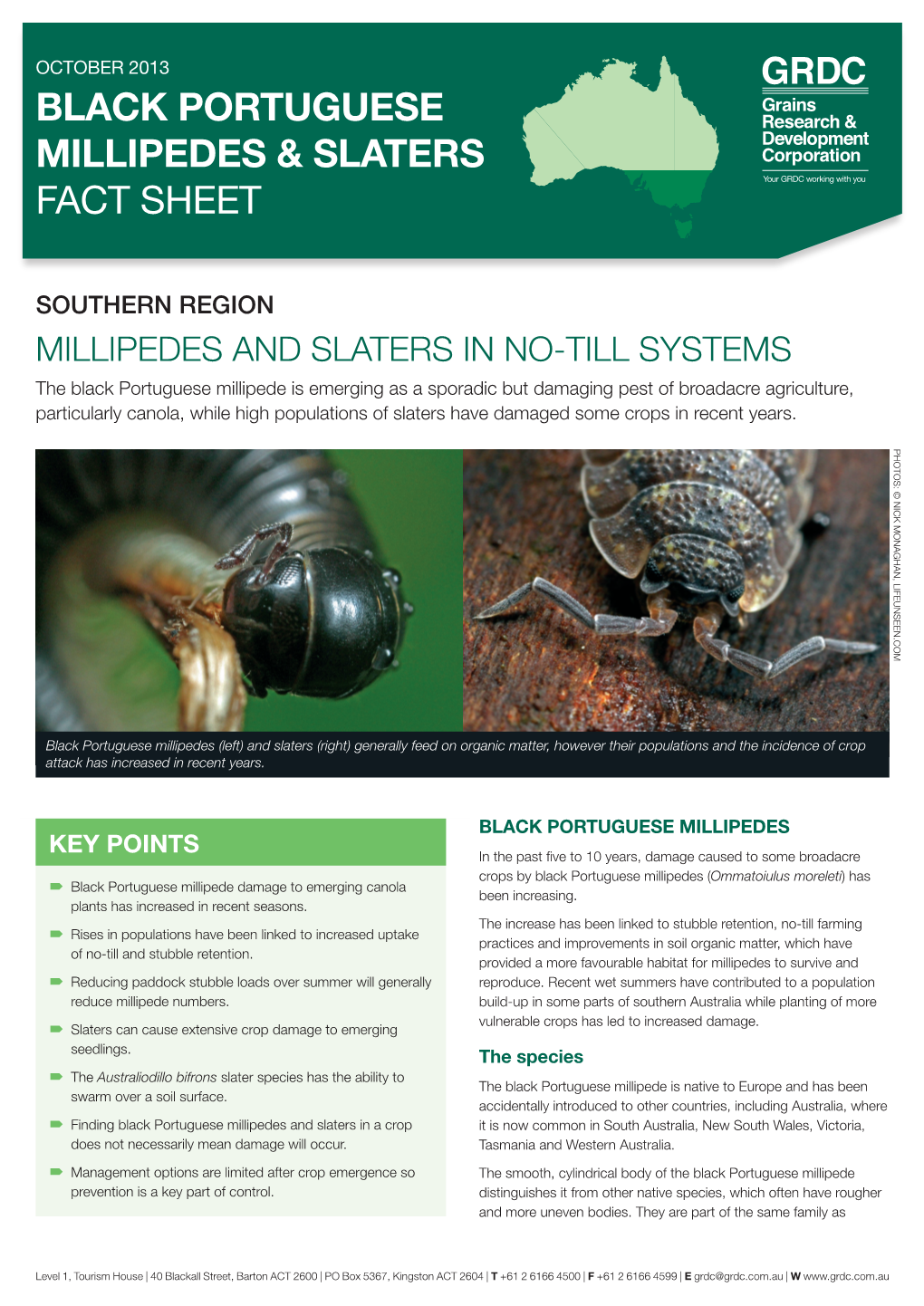 Black Portuguese Millipedes & Slaters Fact Sheet