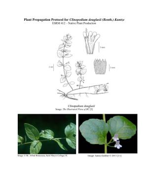Draft Plant Propagation Protocol
