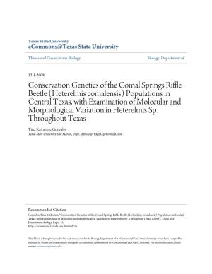 Conservation Genetics of the Comal Springs Riffle Beetle (Heterelmis