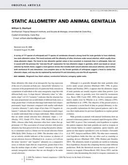 Static Allometry and Animal Genitalia