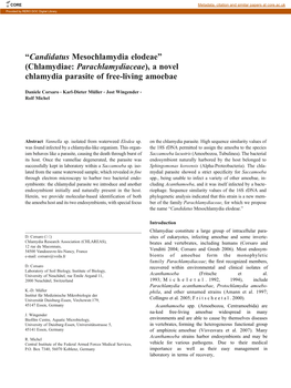 A Novel Chlamydia Parasite of Free-Living Amoebae