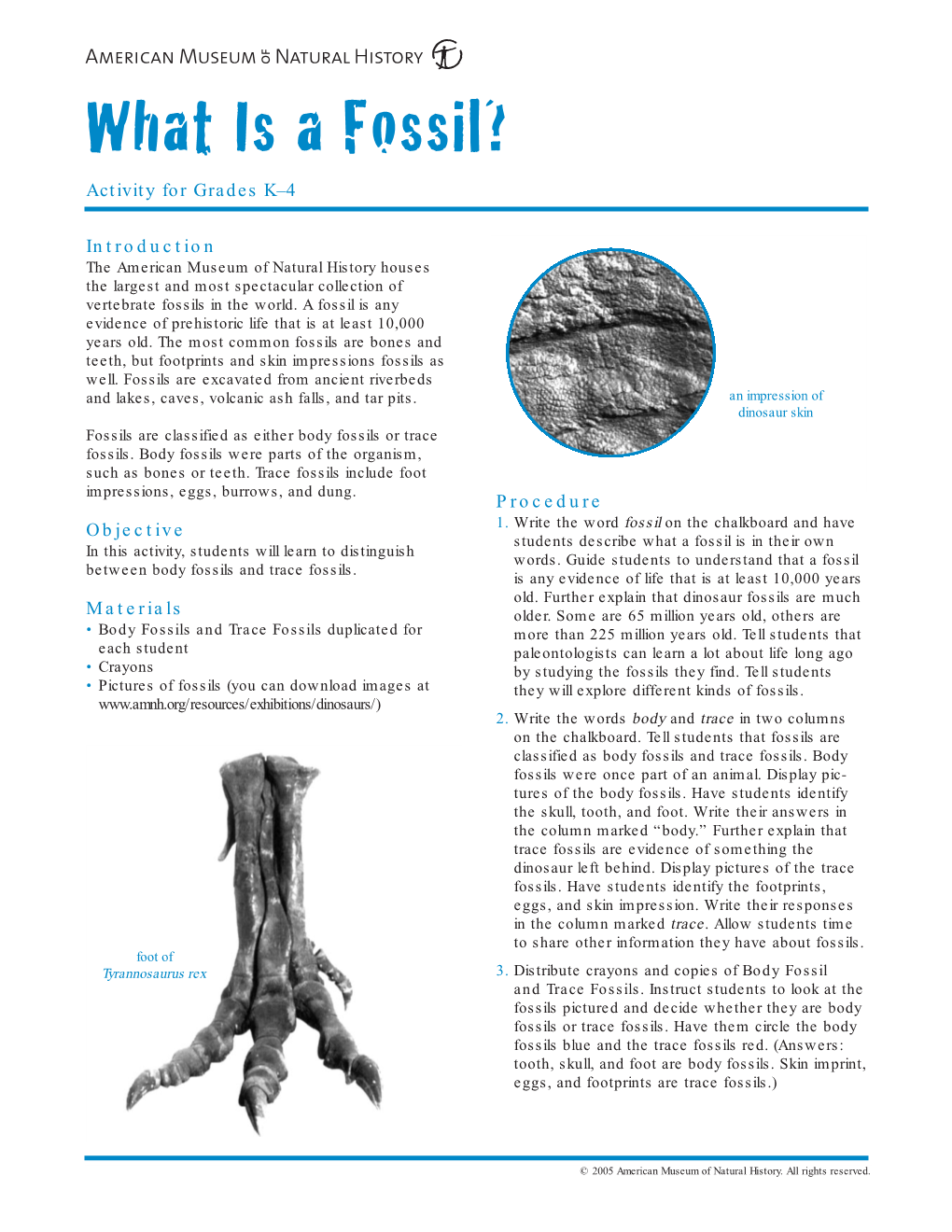 What Is a Fossil?