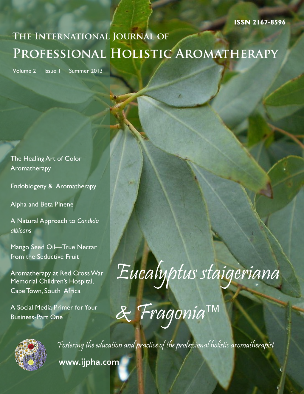 Eucalyptus Staigeriana & Fragoniatm