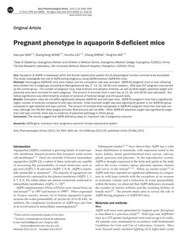 Pregnant Phenotype in Aquaporin 8-Deficient Mice
