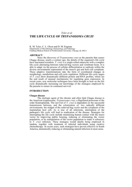 The Life Cycle of Trypanosoma Cruzi