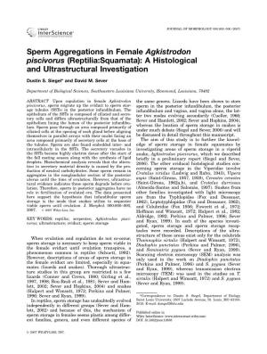 Sperm Aggregations in Female Agkistrodon Piscivorus (Reptilia:Squamata): a Histological and Ultrastructural Investigation