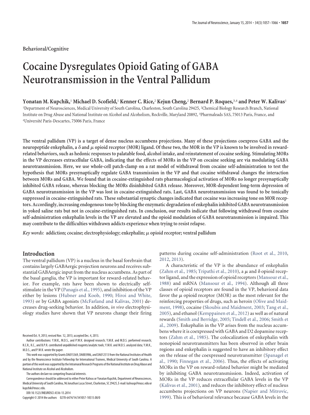 Cocaine Dysregulates Opioid Gating of GABA Neurotransmission in the Ventral Pallidum