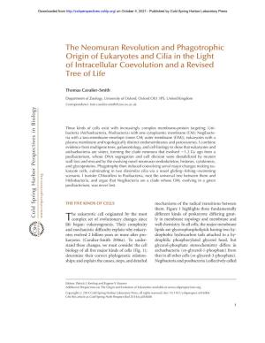 The Neomuran Revolution and Phagotrophic Origin of Eukaryotes and Cilia in the Light of Intracellular Coevolution and a Revised Tree of Life