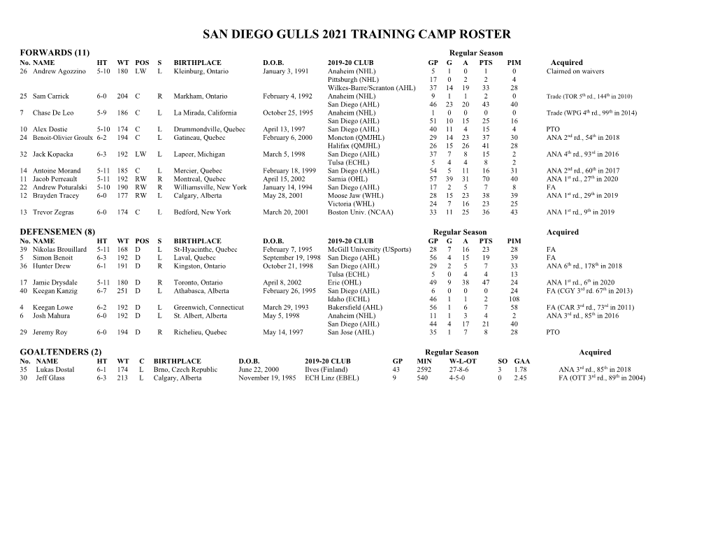 San Diego Gulls 2020-21 Training Camp Roster