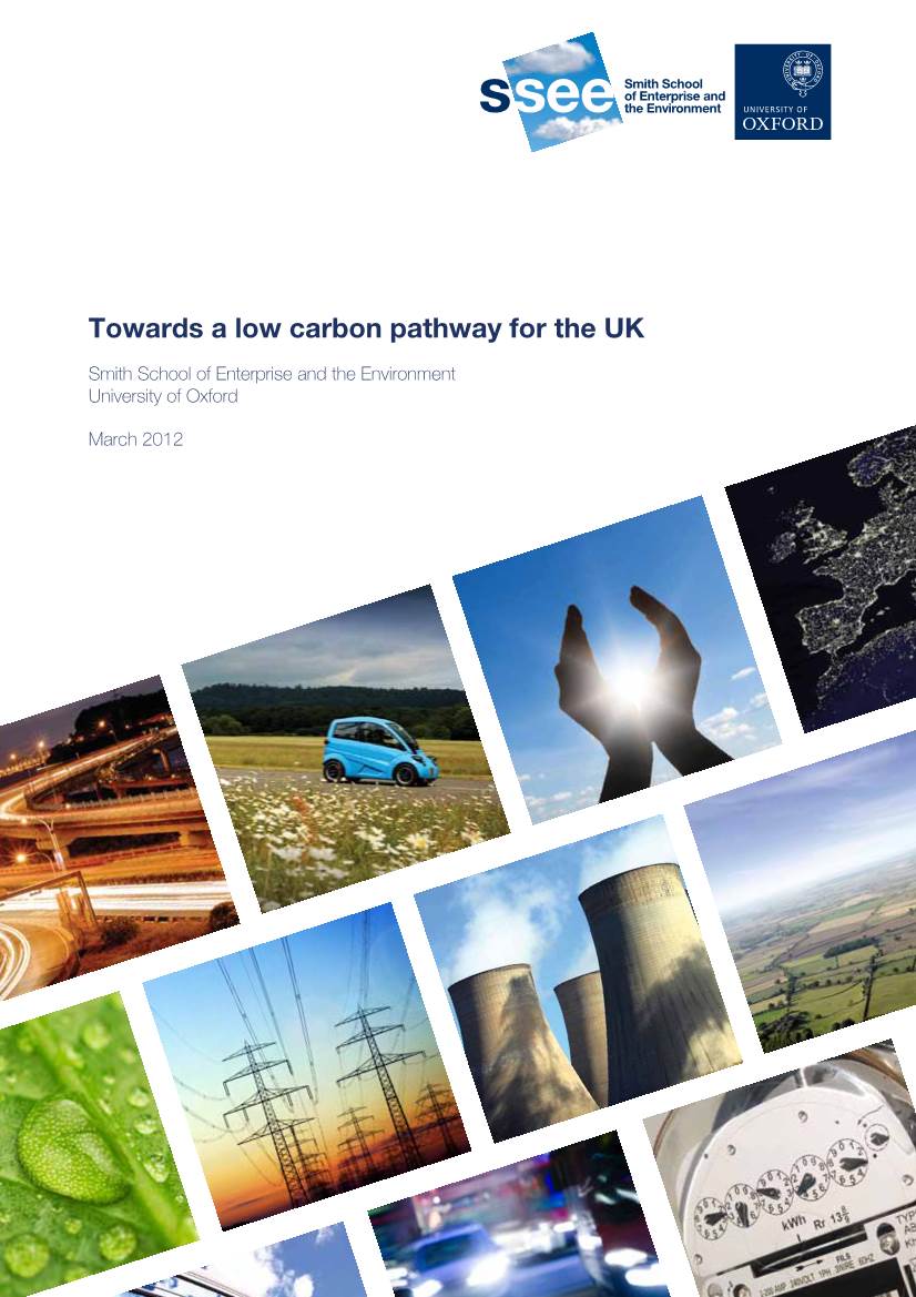 Towards a Low Carbon Pathway for the UK