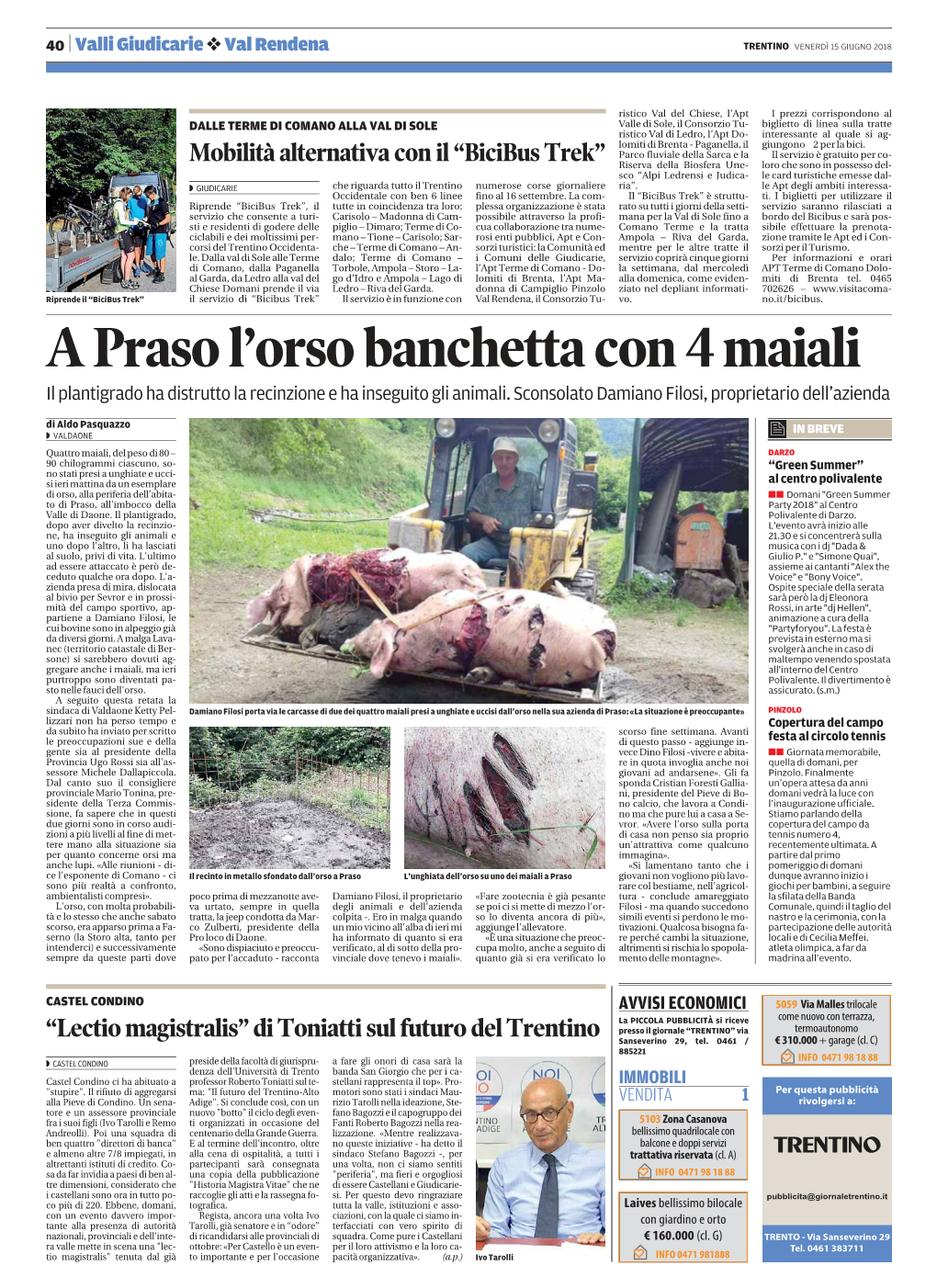 A Praso L'orso Banchetta Con 4 Maiali