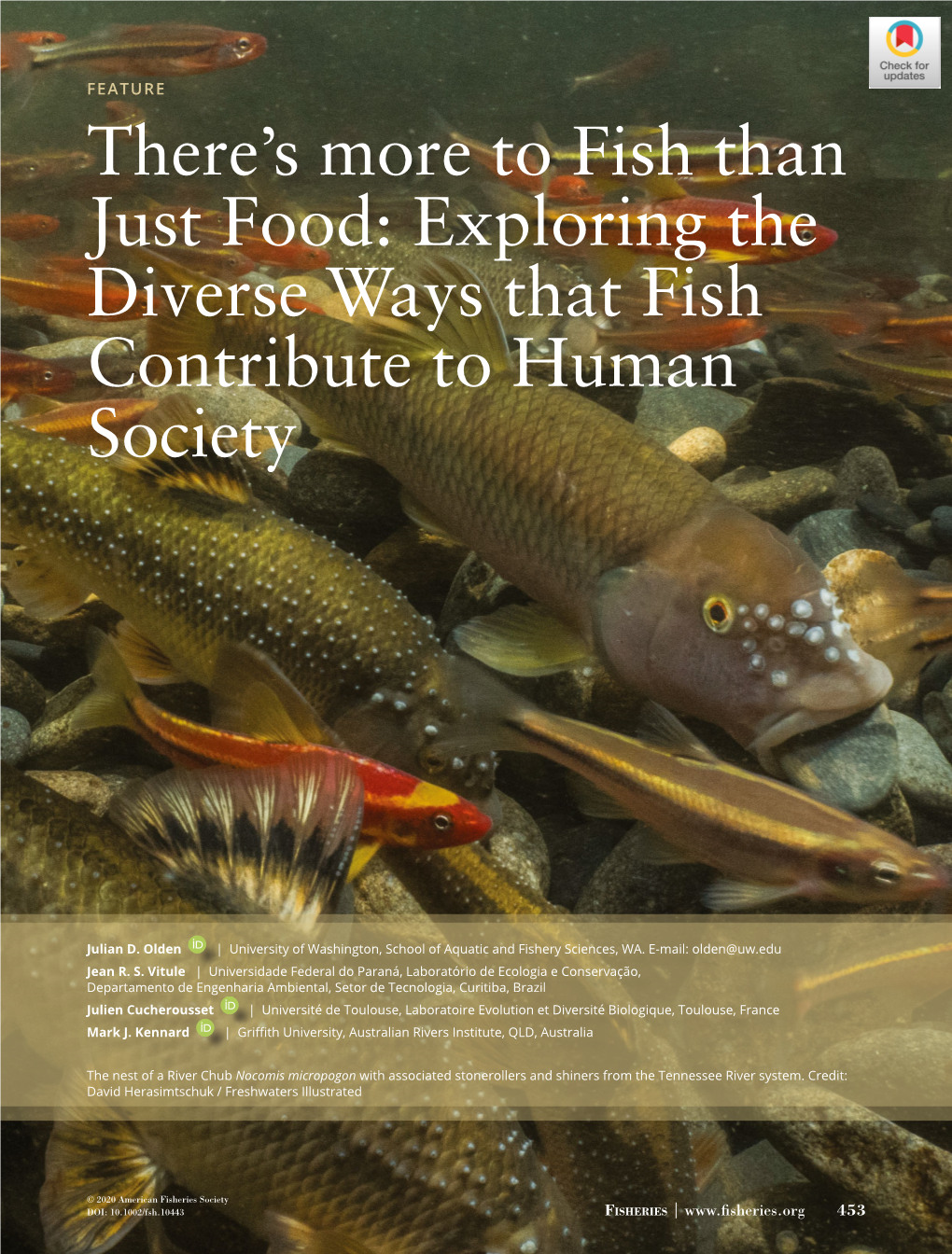 Exploring the Diverse Ways That Fish Contribute to Human Society