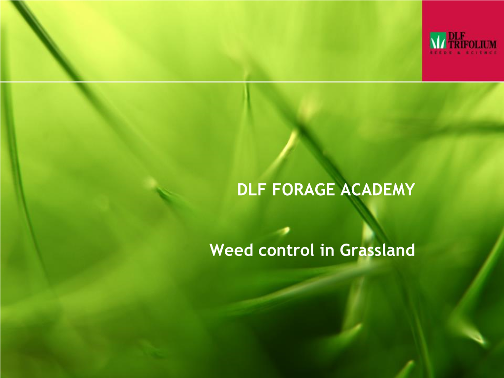 DLF FORAGE ACADEMY Weed Control in Grassland