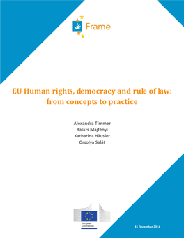 EU Human Rights, Democracy and Rule of Law: from Concepts to Practice