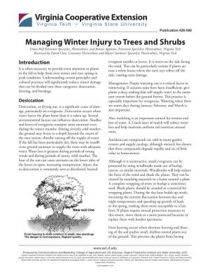 Managing Winter Injury to Trees and Shrubs