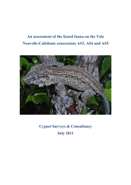 An Assessment of the Lizard Fauna on the Vale Nouvelle-Calédonie Concessions AS3, AS4 and AS5 Cygnet Surveys & Consultancy