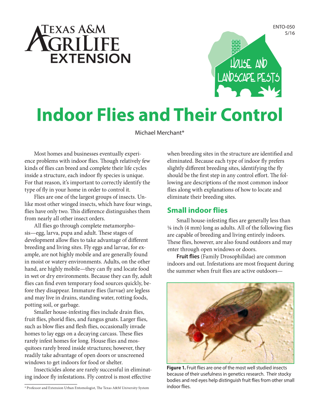Indoor Flies and Their Control Michael Merchant*
