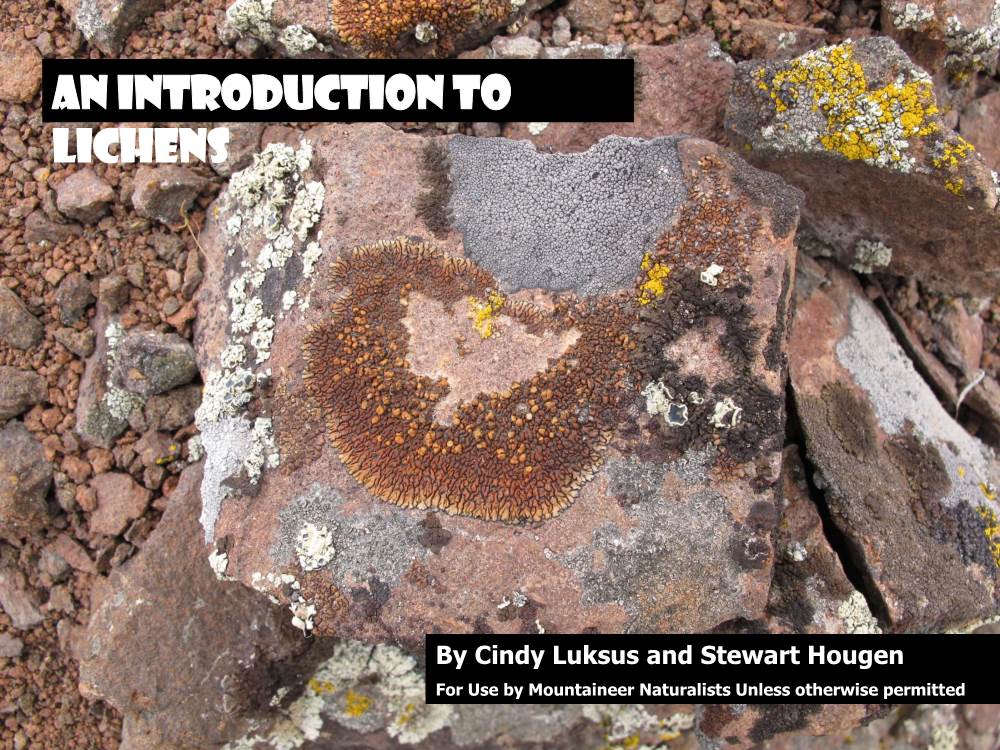 An Introduction to Lichens