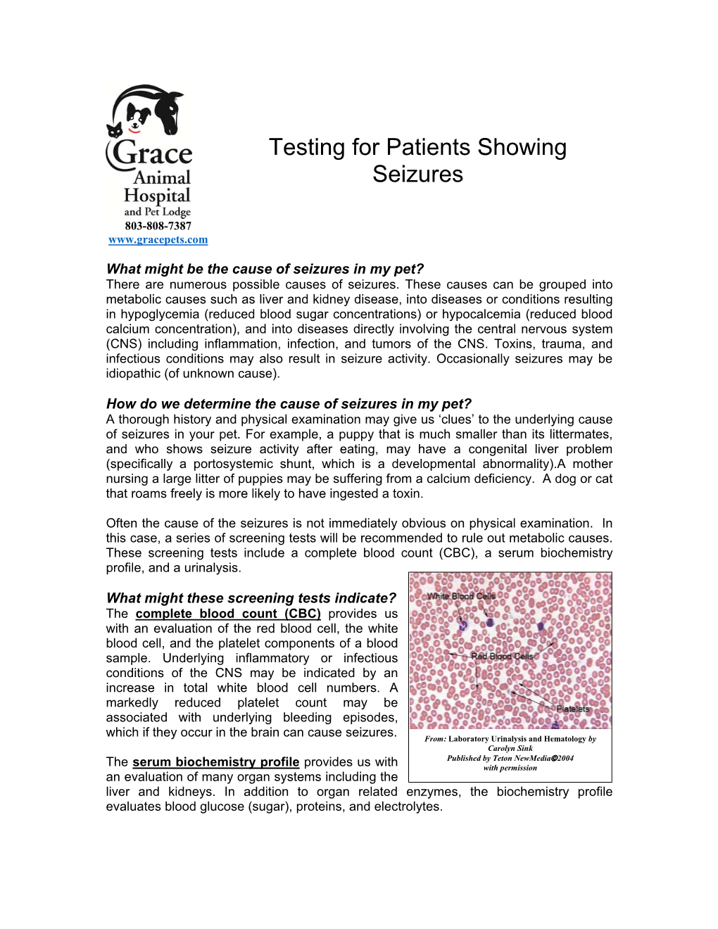 Testing for Patients Showing Seizures