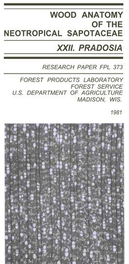 Wood Anatomyof Theneotropical Sapotaceaexxii. Pradosia
