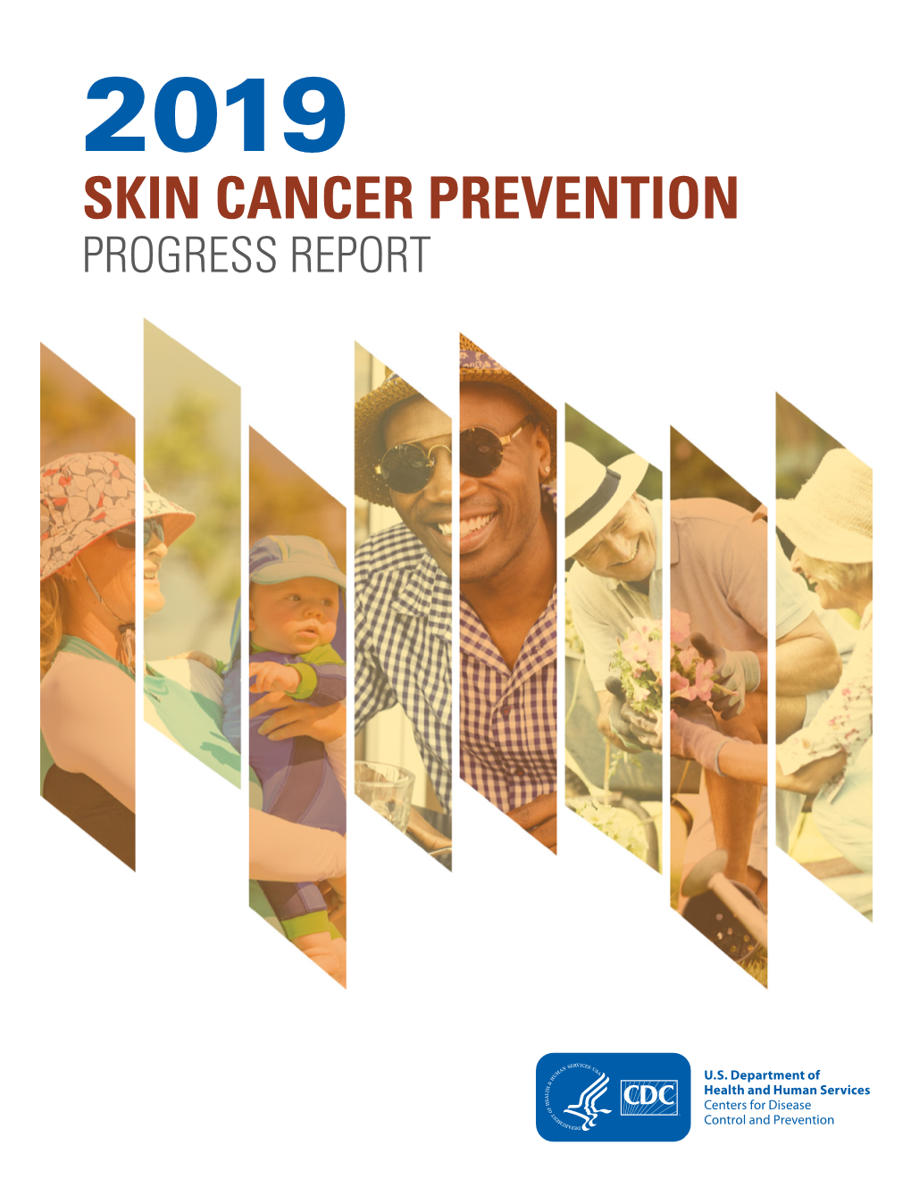 2019 Skin Cancer Prevention Progress Report Contents