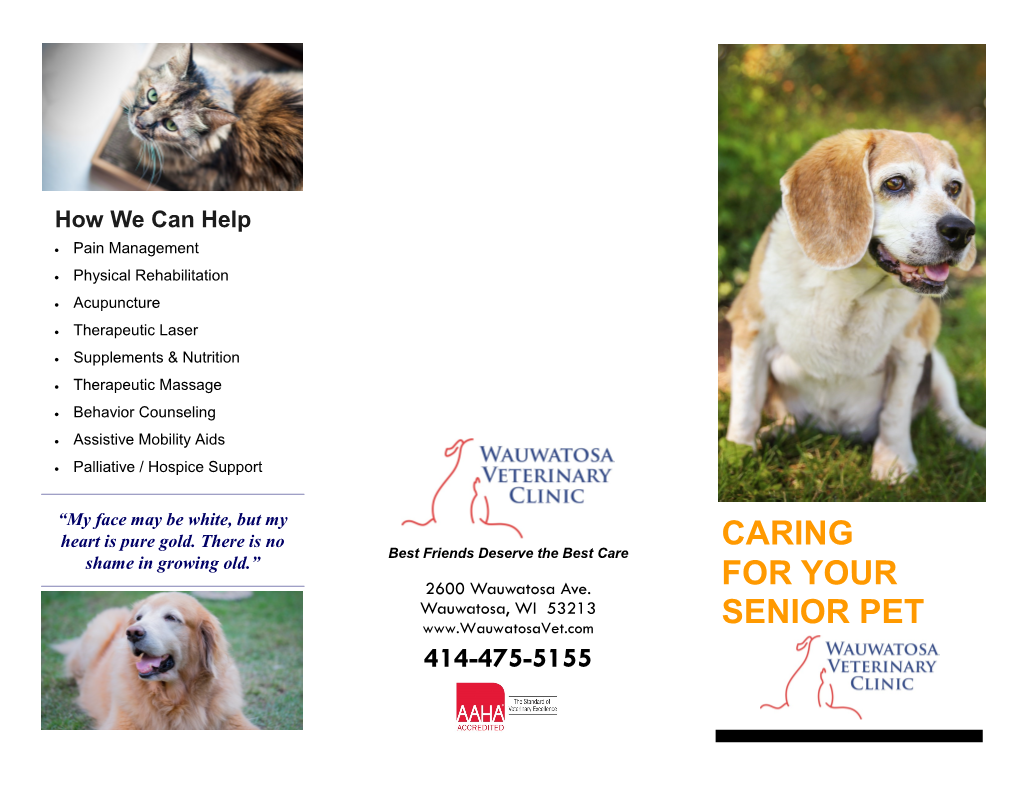 Caring for Your Senior