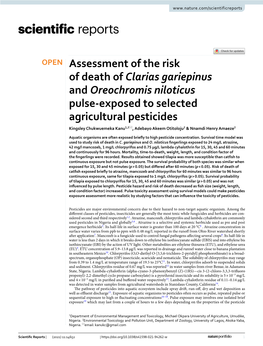 Assessment of the Risk of Death of Clarias Gariepinus And