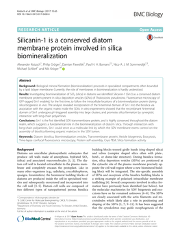 Silicanin-1 Is a Conserved Diatom Membrane Protein Involved in Silica Biomineralization Alexander Kotzsch1, Philip Gröger1, Damian Pawolski1, Paul H