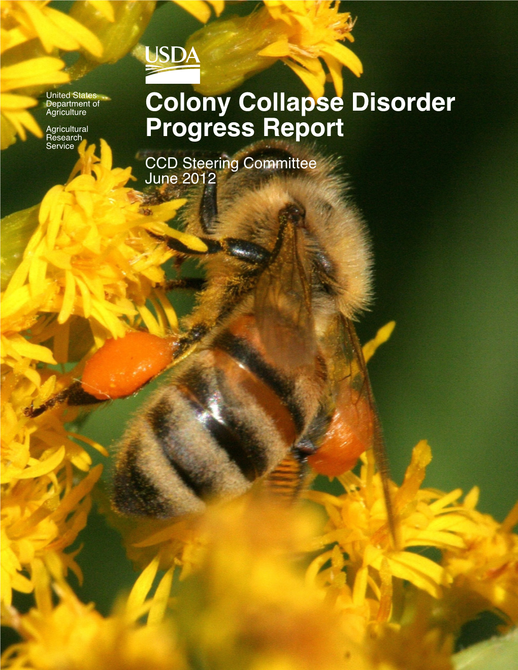 Colony Collapse Disorder Progress Report