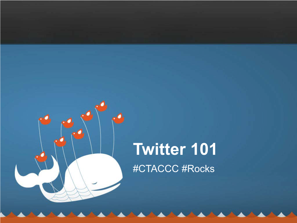 Twitter 101 #CTACCC #Rocks What Is Twitter Anyway?