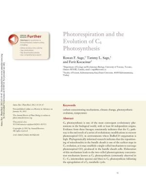 Photorespiration and the Evolution of C4 Photosynthesis