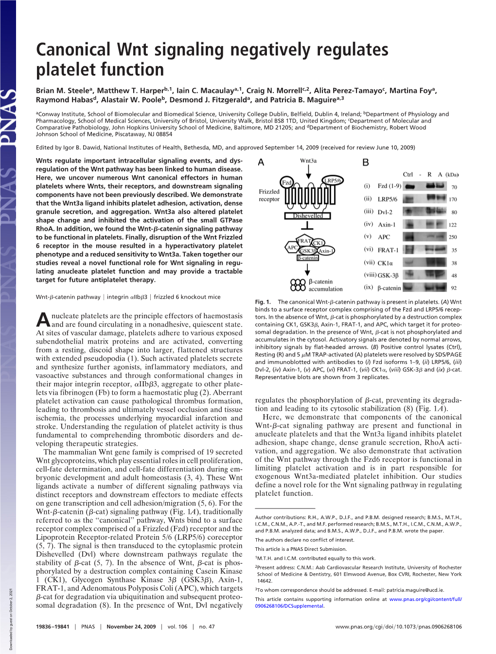 Canonical Wnt Signaling Negatively Regulates Platelet Function