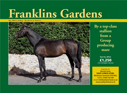 Franklins Gardens Bay, 2000 by Halling – Woodbeck, by Terimon by a Top-Class Stallion from a Group Producing Mare