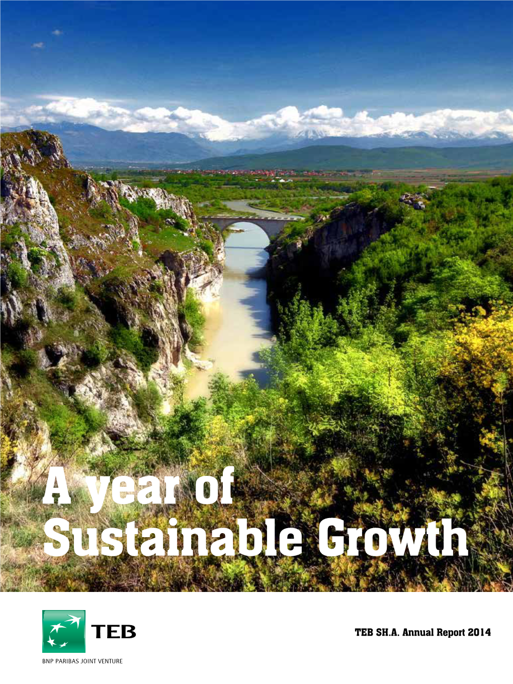 A Year of Sustainable Growth