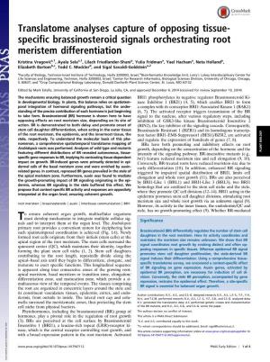Specific Brassinosteroid Signals Orchestrating Root Meristem Differentiation