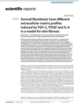 Dermal Fibroblasts Have Different Extracellular Matrix Profiles Induced by TGF-Β, PDGF and IL-6 in a Model for Skin Fibrosis
