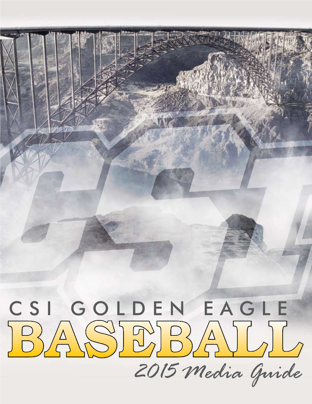 2015 Baseball Media Guide