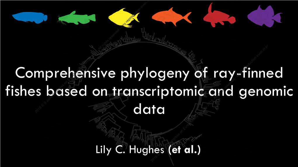 Comprehensive Phylogeny of Ray-Finned Fishes Based on Transcriptomic and Genomic