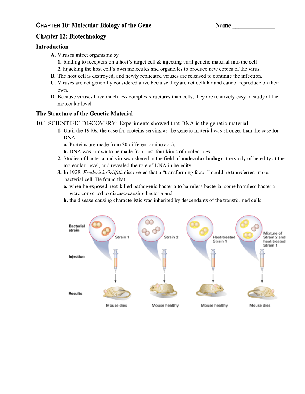 Molecular Biology of the Gene Name Chapter 12