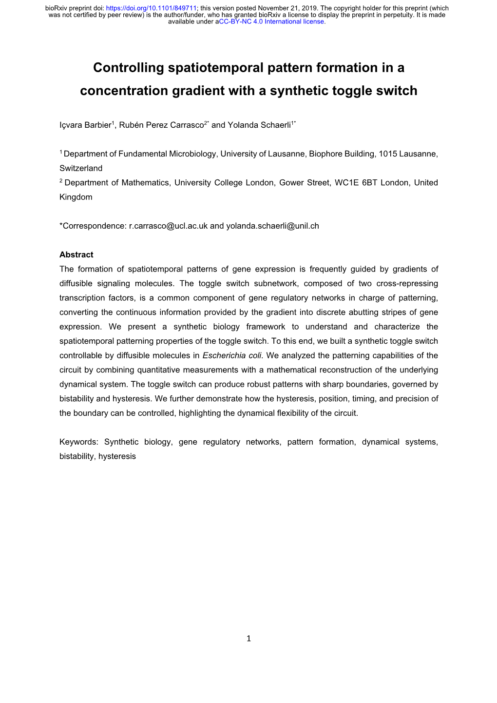 Controlling Spatiotemporal Pattern Formation in a Concentration Gradient with a Synthetic Toggle Switch