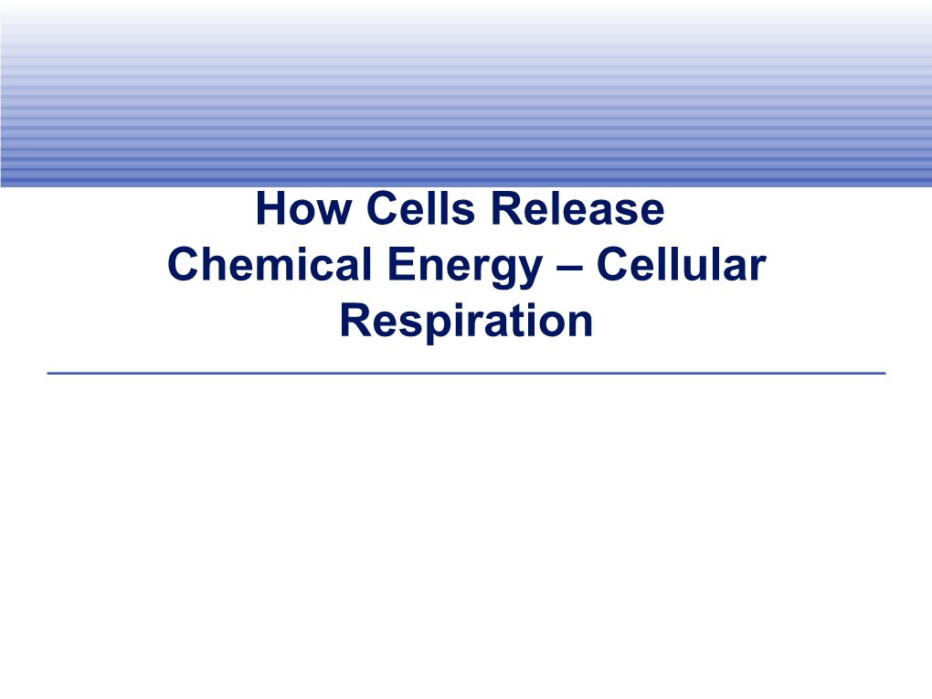 How Cells Release Chemical Energy – Cellular Respiration Overview of Cellular Respiration