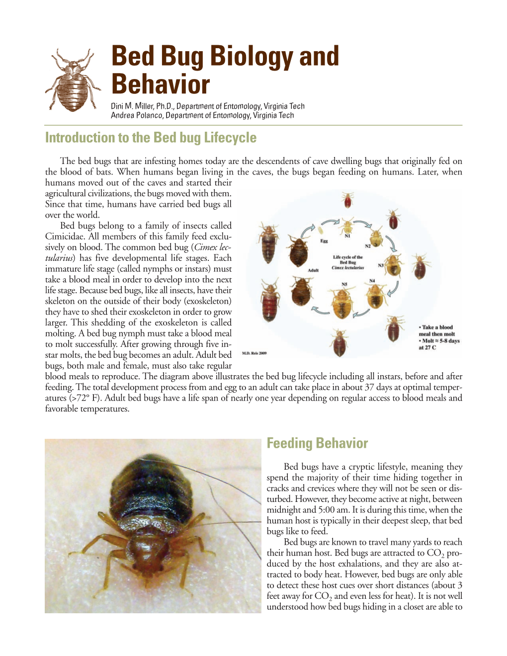 Bed Bug Biology and Behavior Dini M