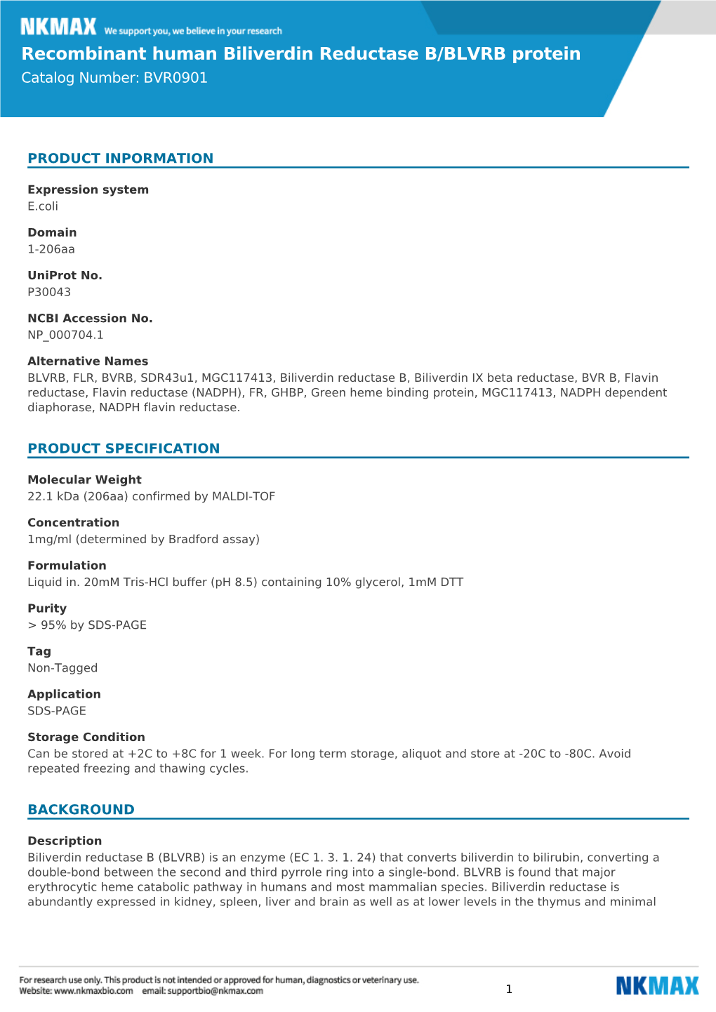 Recombinant Human Biliverdin Reductase B/BLVRB Protein Catalog Number: BVR0901