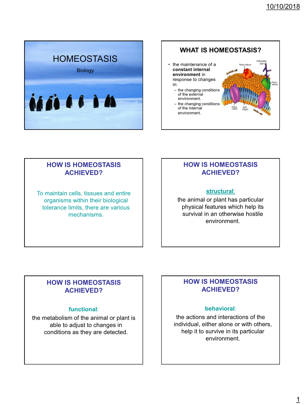 HOMEOSTASIS? HOMEOSTASIS • the Maintenance of a Biology Constant Internal Environment in Response to Changes In: – the Changing Conditions of the External Environment