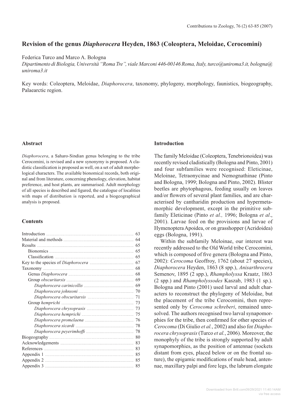 Revision of the Genus Diaphorocera Heyden, 1863 (Coleoptera, Meloidae, Cerocomini)