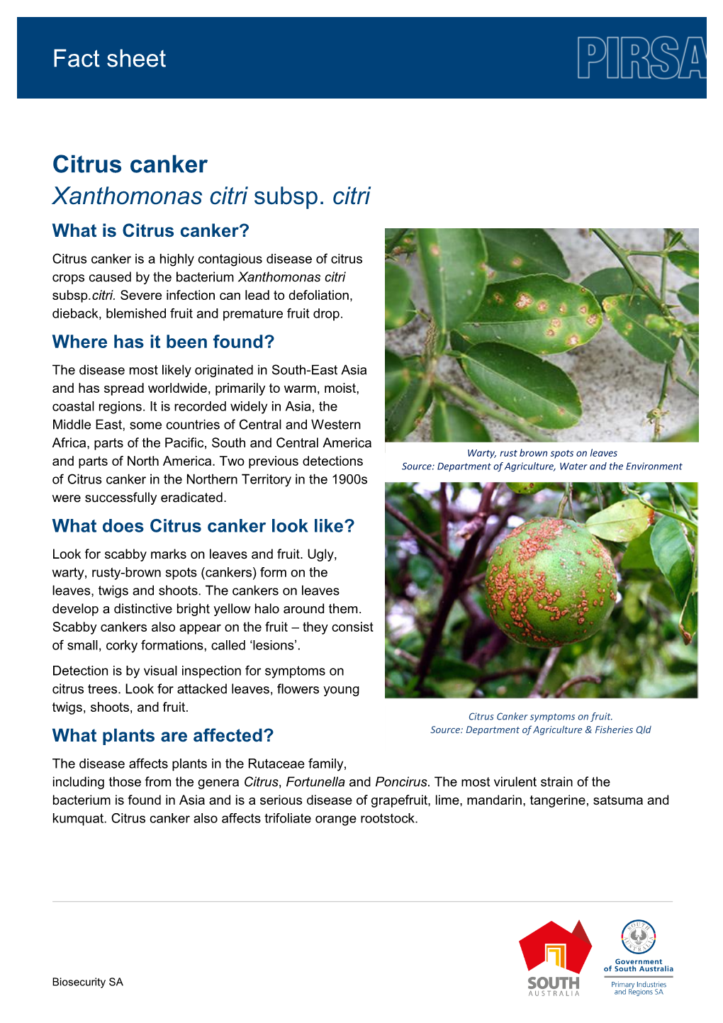 Fact Sheet Citrus Canker Xanthomonas Citri Subsp. Citri
