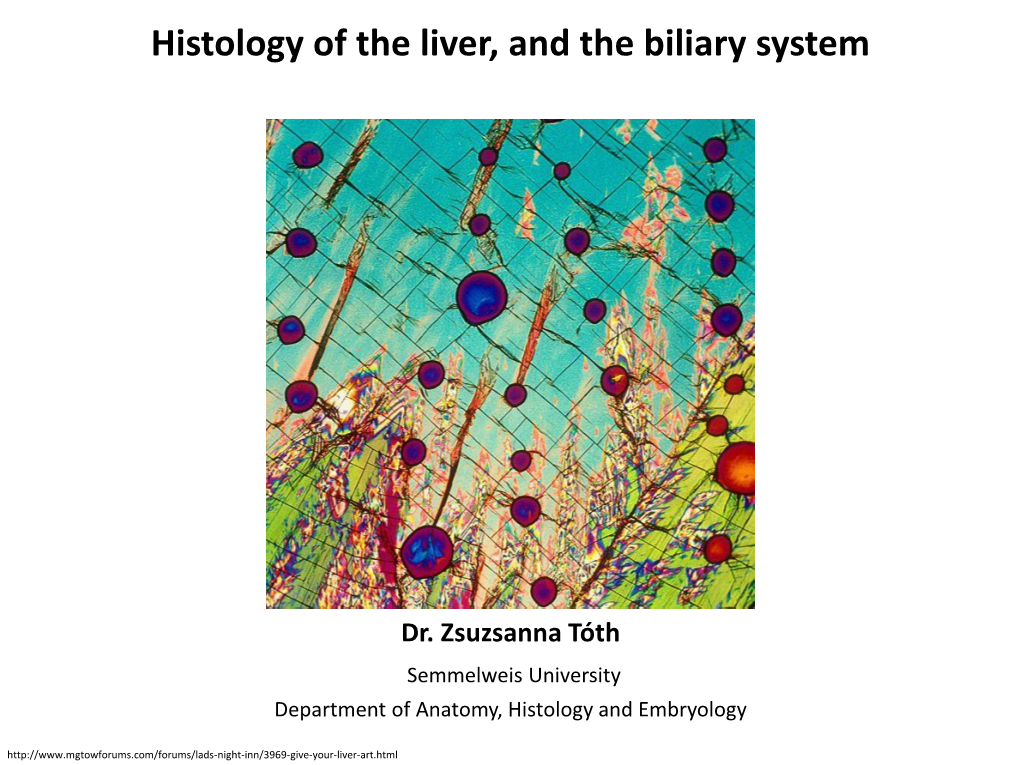 Histology of the Liver, and the Biliary System