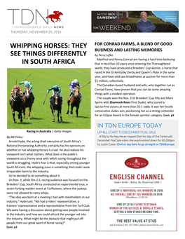 Whipping Horses: They See Things Differently in South