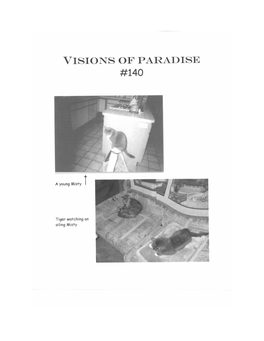 Visions of Paradise #140