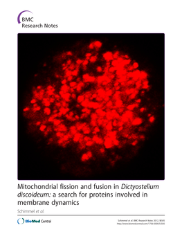 Mitochondrial Fission and Fusion in Dictyostelium Discoideum: a Search for Proteins Involved in Membrane Dynamics Schimmel Et Al